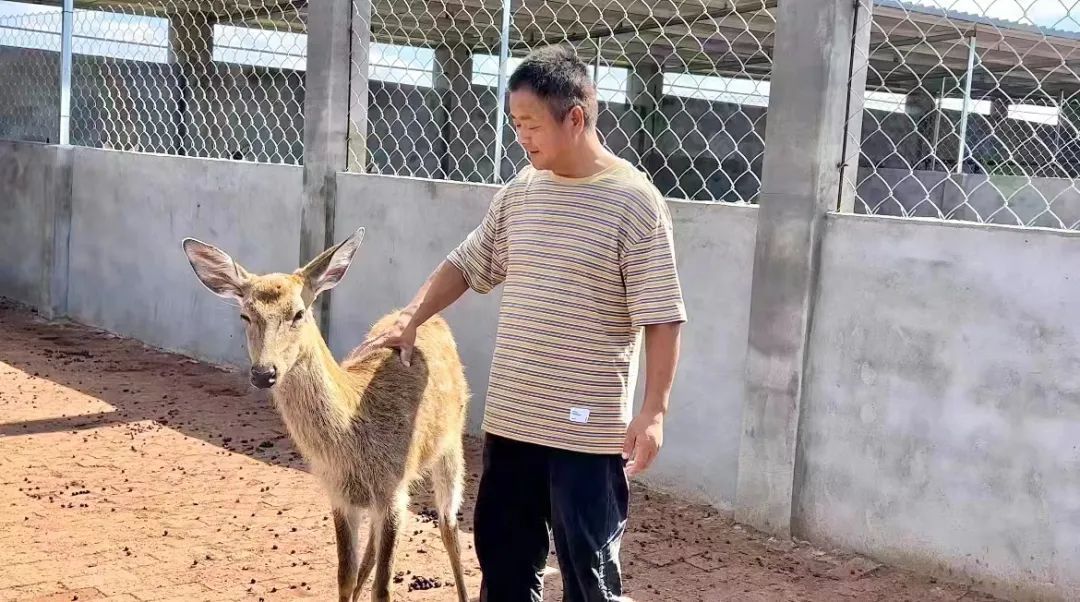 诚博国际app官网